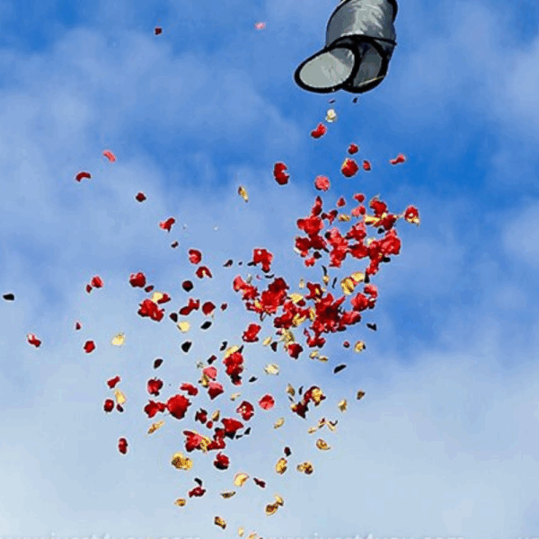 Flower Shower
